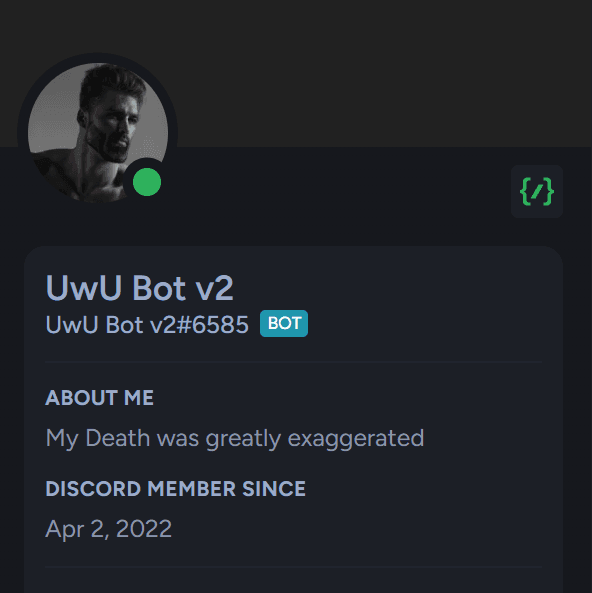 UwU Bot v2 - Typescript, Discord API, Various Community APIs
A Discord bot that does various things like playing music, sending memes, detecting text in images, chat using AI and more!